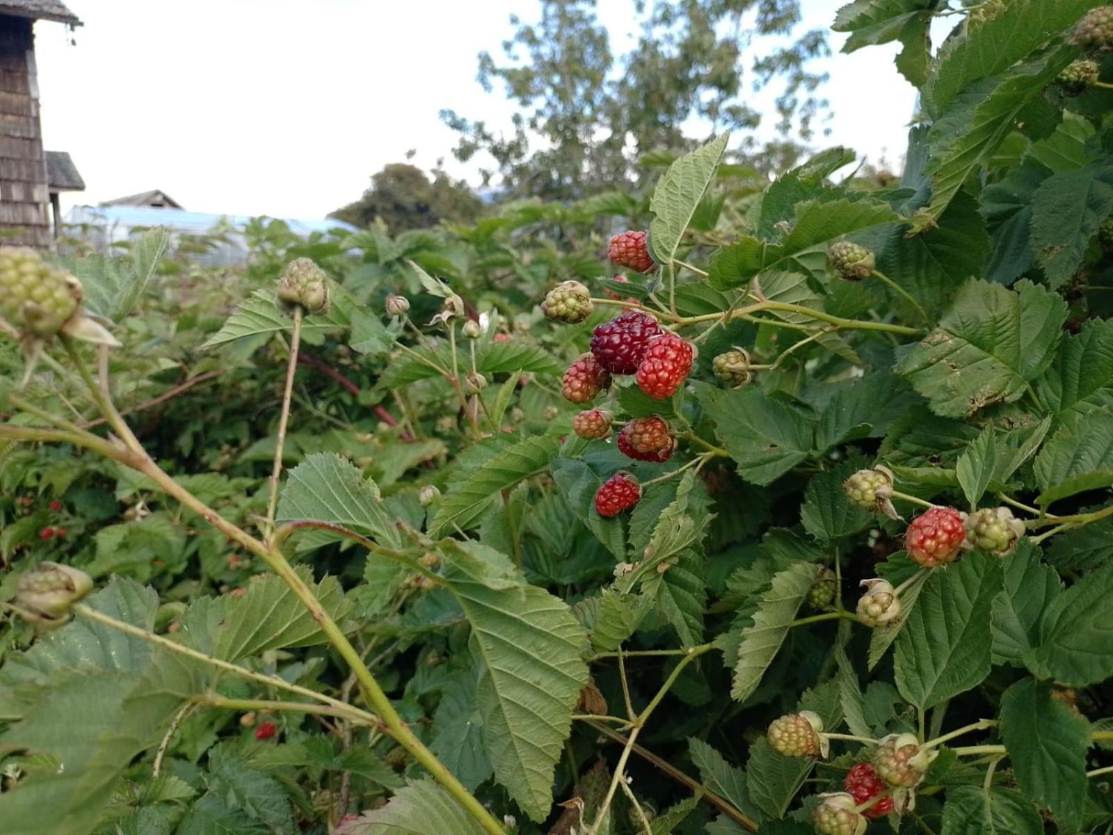 La Posada Del Colono Puerto Clocker Kültér fotó